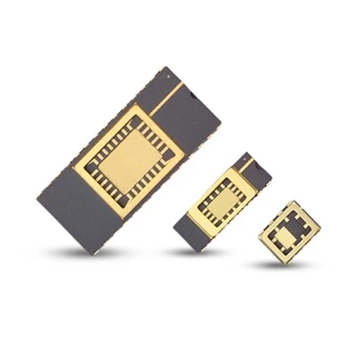 Paquete cerámico dual en línea-(CDIP)
